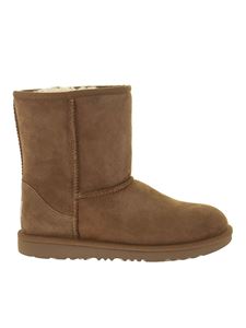 UGG - Classic II ankle boots in camel color
